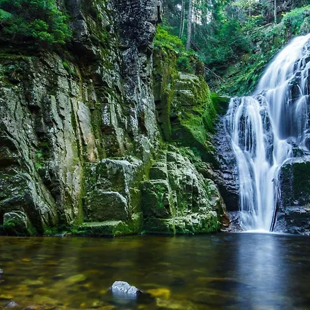 Апартаменты Daga W Centrum